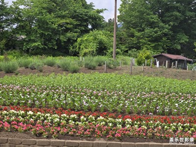 【光影里的寻找】+晴朗无比