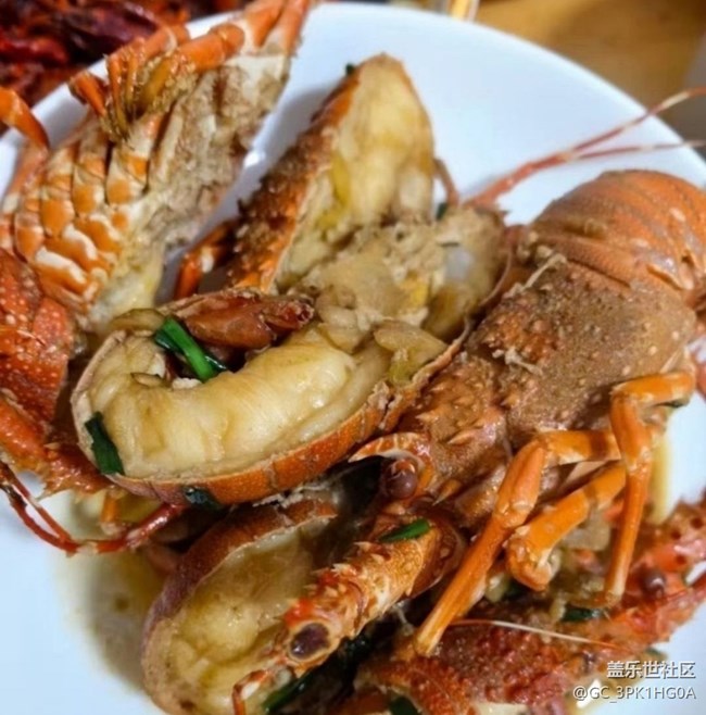 【桂月知味】小青龙