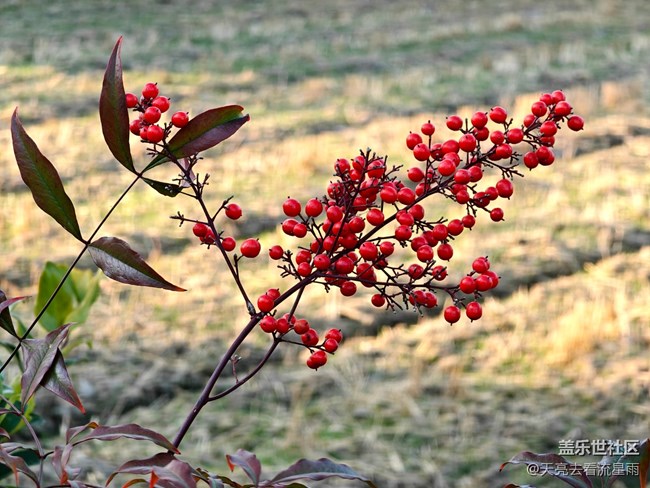 【城市温度】随季而变