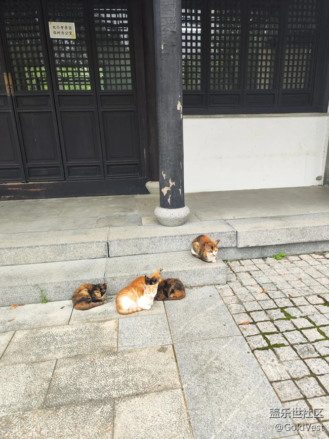 【初秋】秋雨绵绵