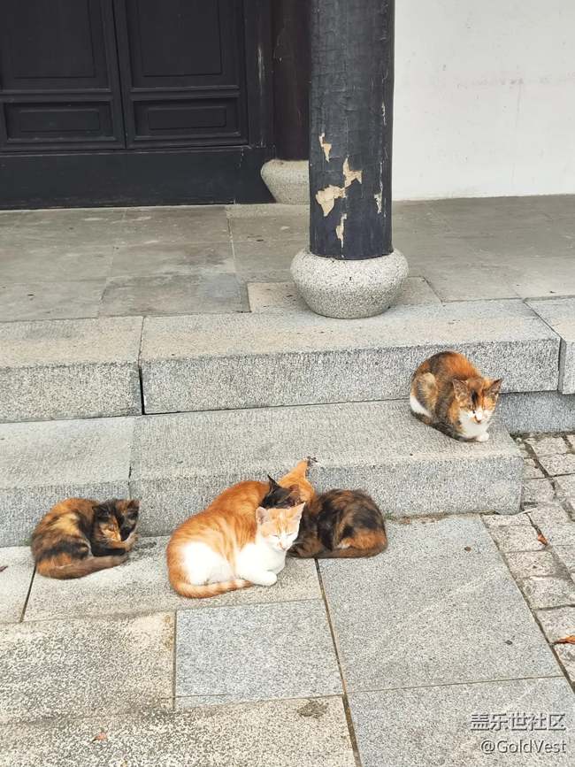 【初秋】秋雨绵绵