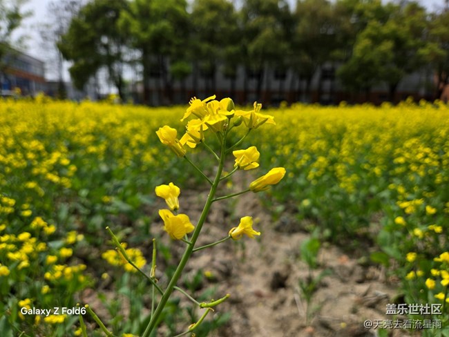 【城市温度】随季而变