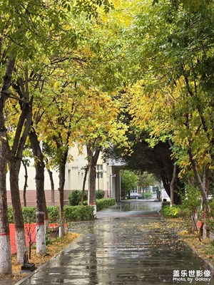 【步履间的风景】+雨中漫步