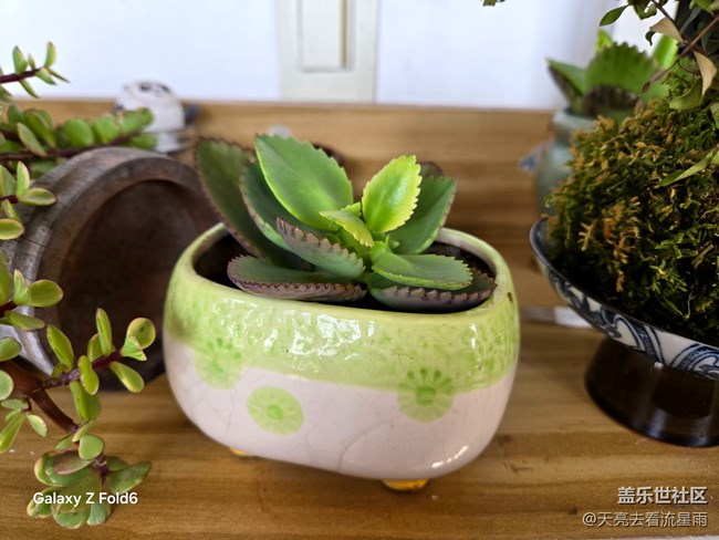 【城市温度】随季而变