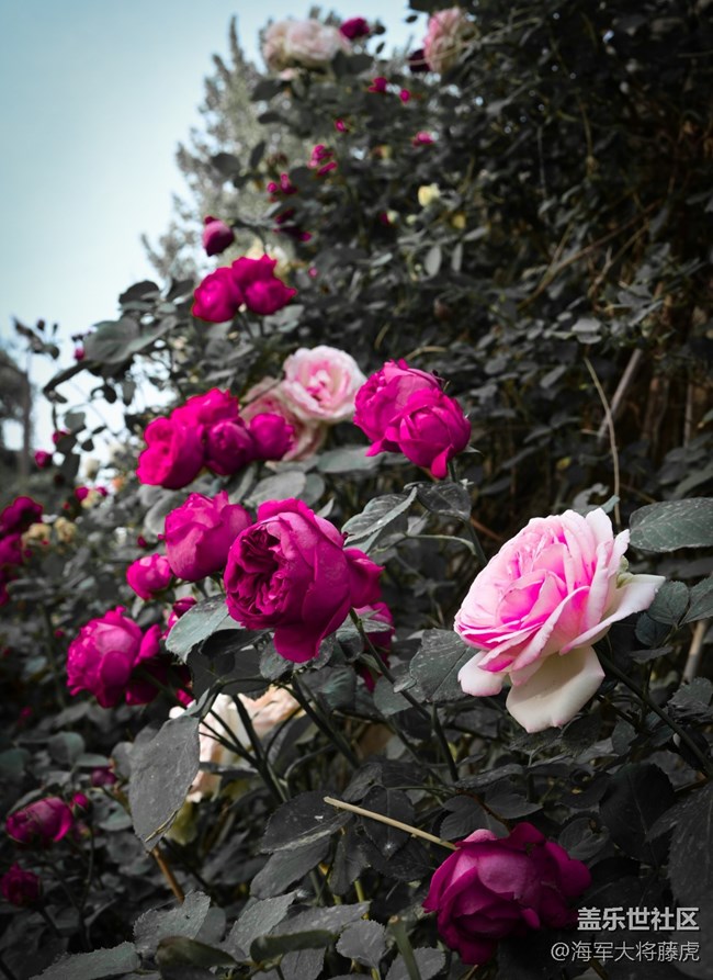 【被遗忘的角落】角落里的温柔与烟火