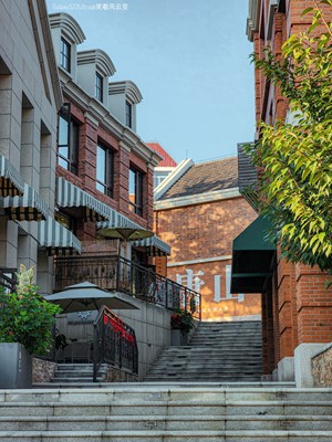 GalaxyS22Ultra  光影中的寻找