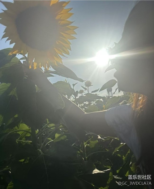 【Galaxy影像】#秋韵 花海