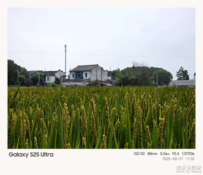 窗外的世界，丰收在望