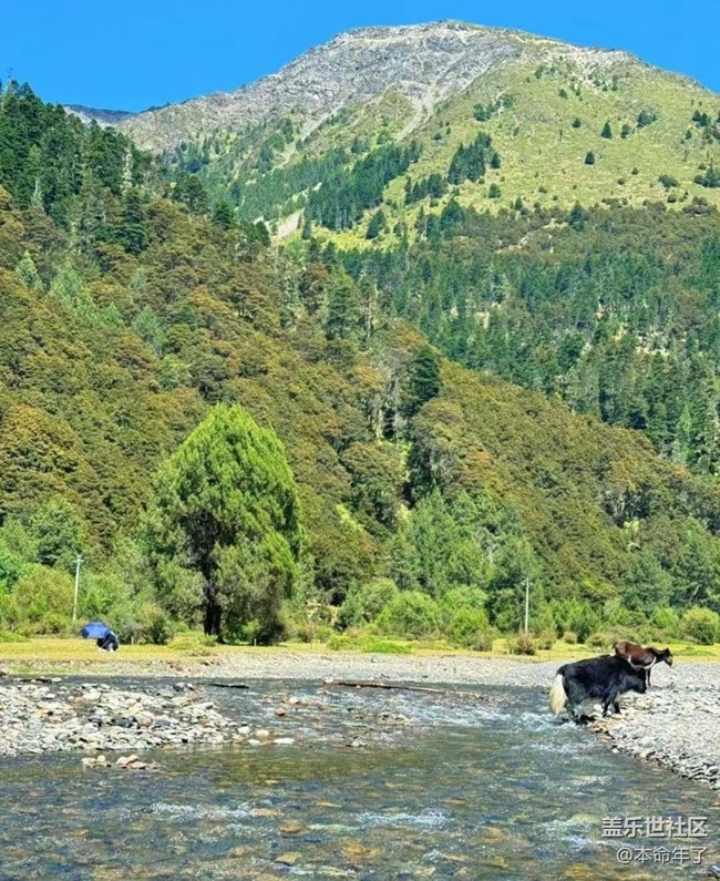 【Galaxy影像】#秋韵 秋游无底湖