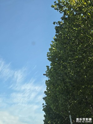 【步履间的风景】+风景