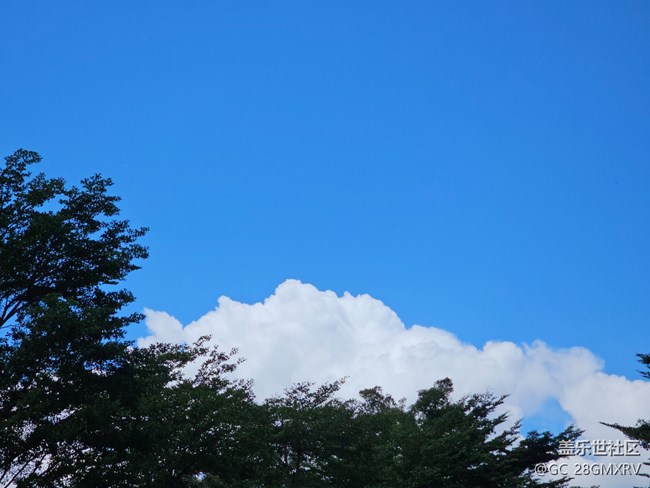 【仰望天空 】抬头看