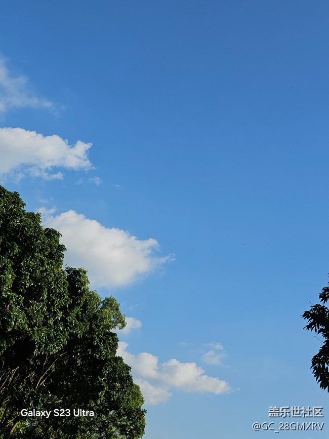 【深湾映秋】好时光