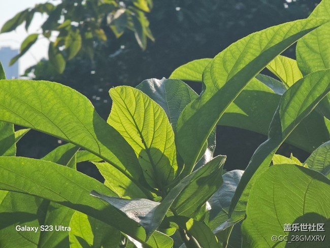 【深湾映秋】好时光