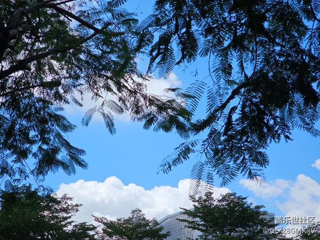 【仰望天空 】抬头看