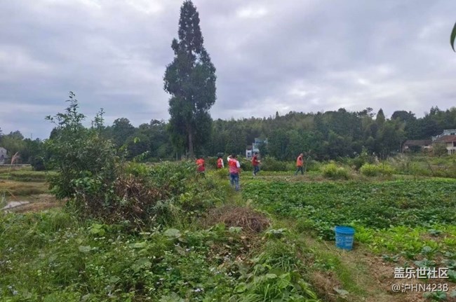 【Galaxy影像】#秋韵 乡村净土