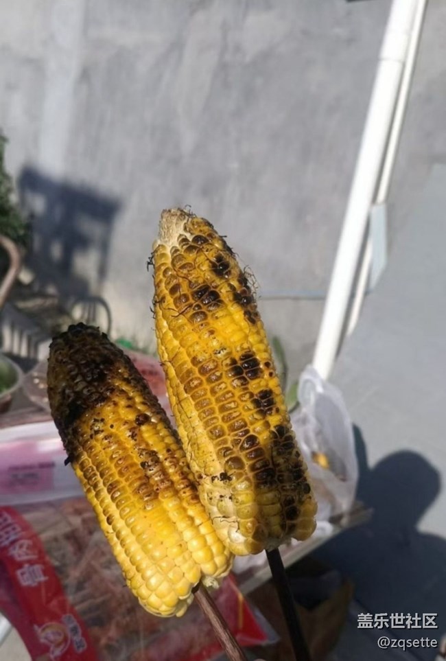 【桂月知味】烧烤