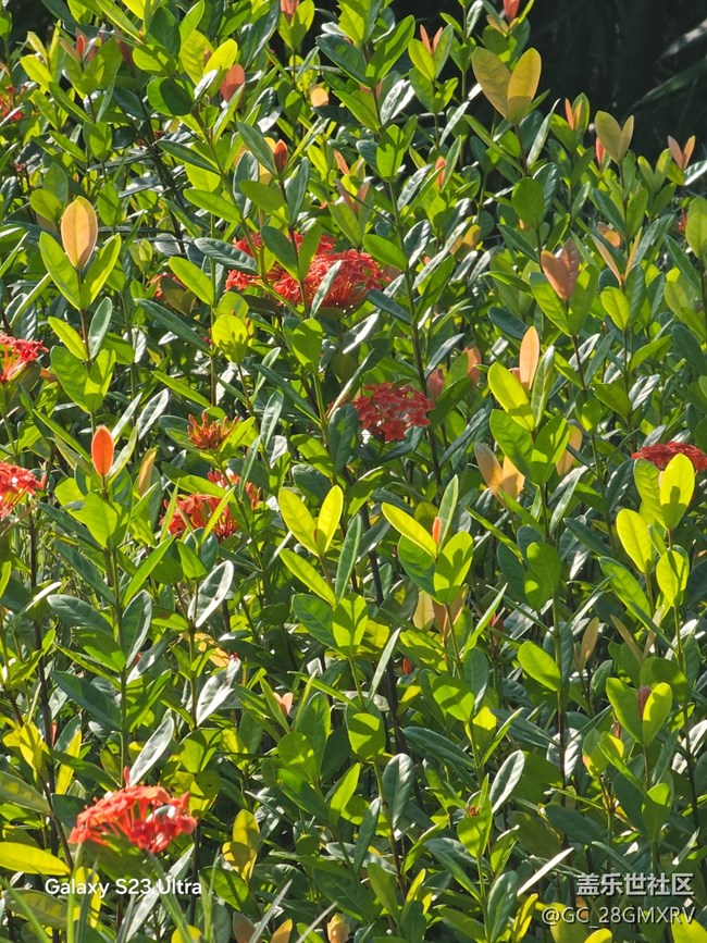 【深湾映秋】好时光