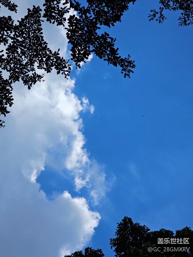 【仰望天空 】抬头看