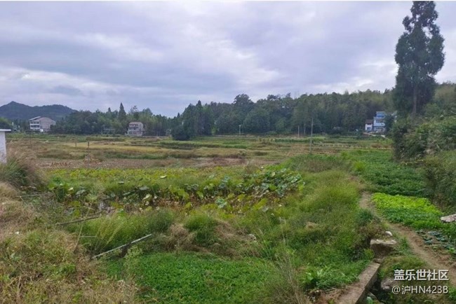 【Galaxy影像】#秋韵 乡村净土