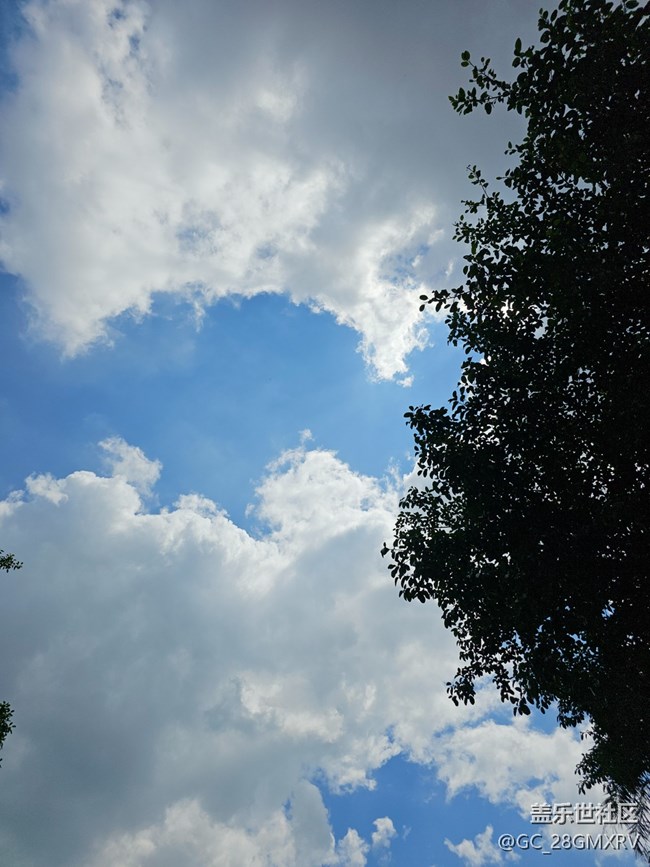 【仰望天空 】抬头看