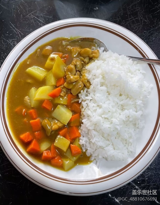 【桂月知味】咖喱饭