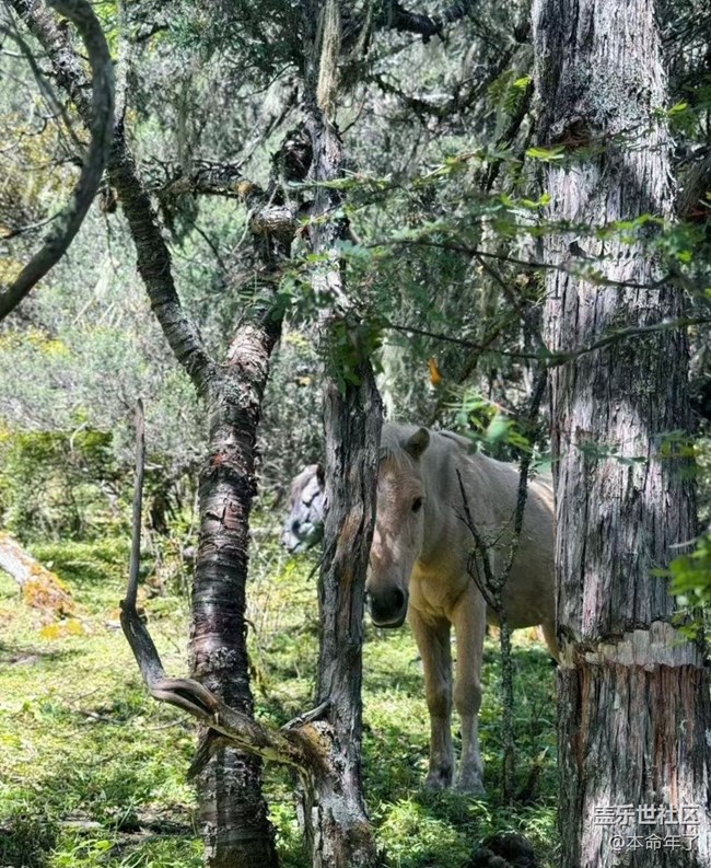 【Galaxy影像】#秋韵 秋游无底湖