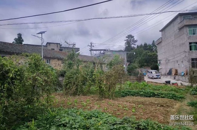 【Galaxy影像】#秋韵 乡村净土