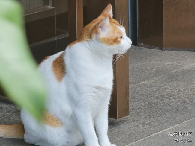 【初秋】微风不燥