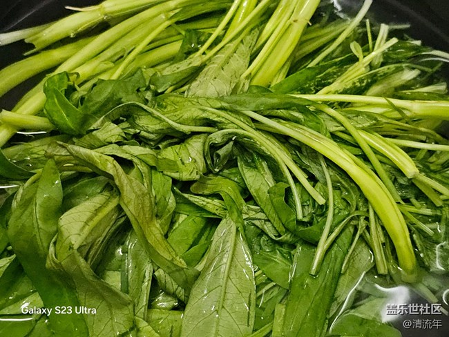 【家乡美食代表】凉拌透心菜