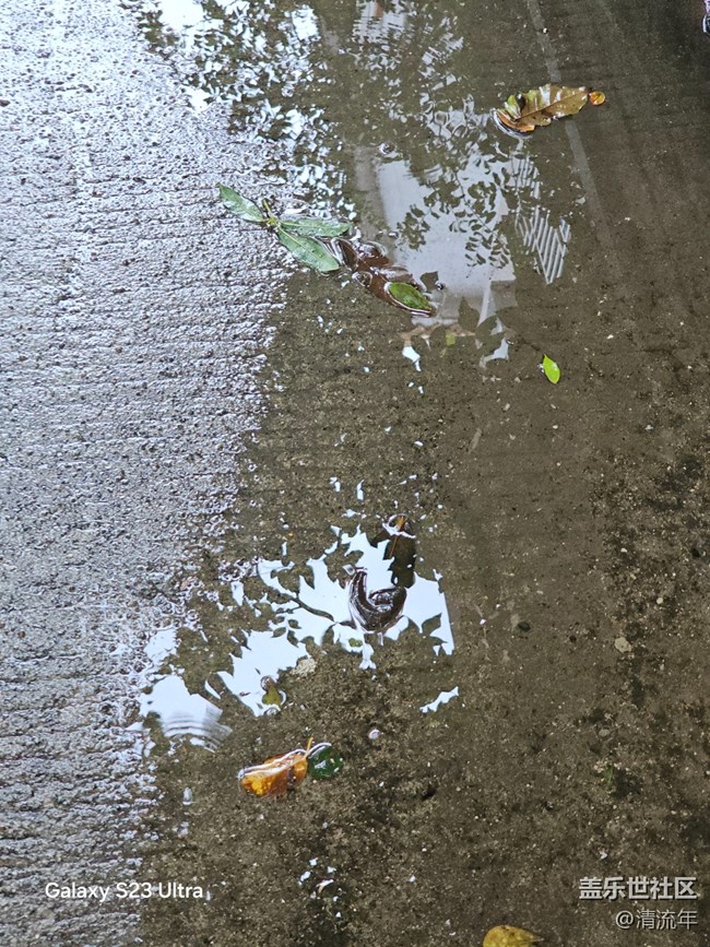 【深湾映秋】初秋日常