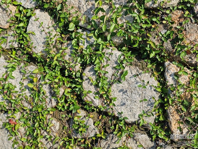 【初秋】秋季随拍