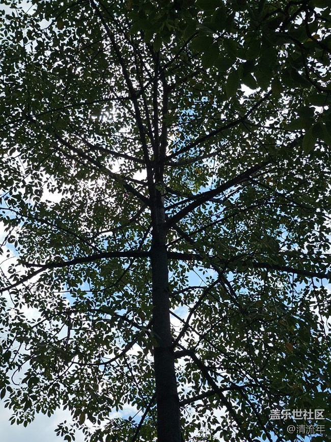 【初秋】微风不燥