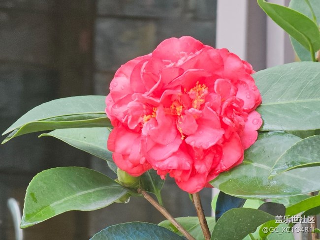 【初秋】日常时光