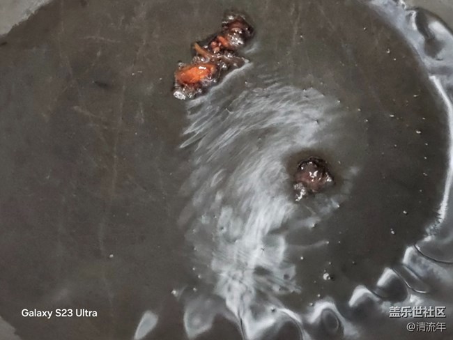 【家乡美食代表】凉拌透心菜