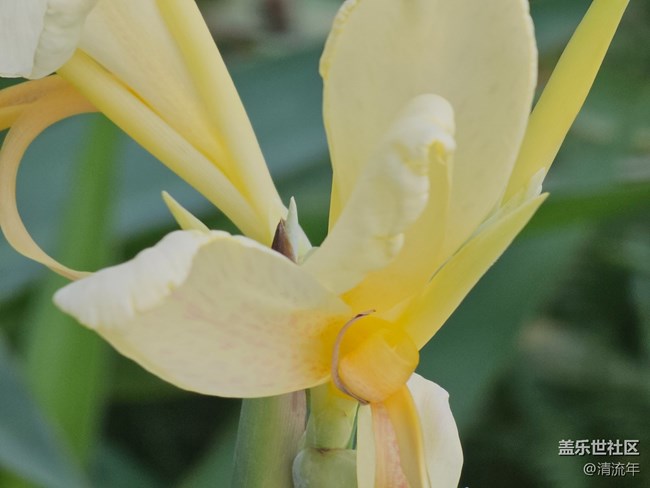 【初秋】秋季随拍