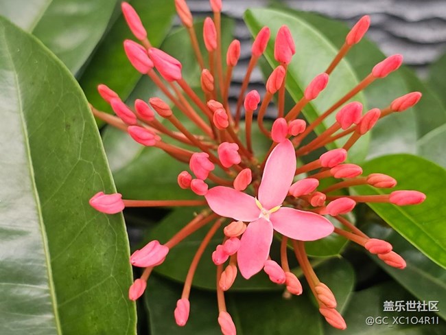 【初秋】天气好