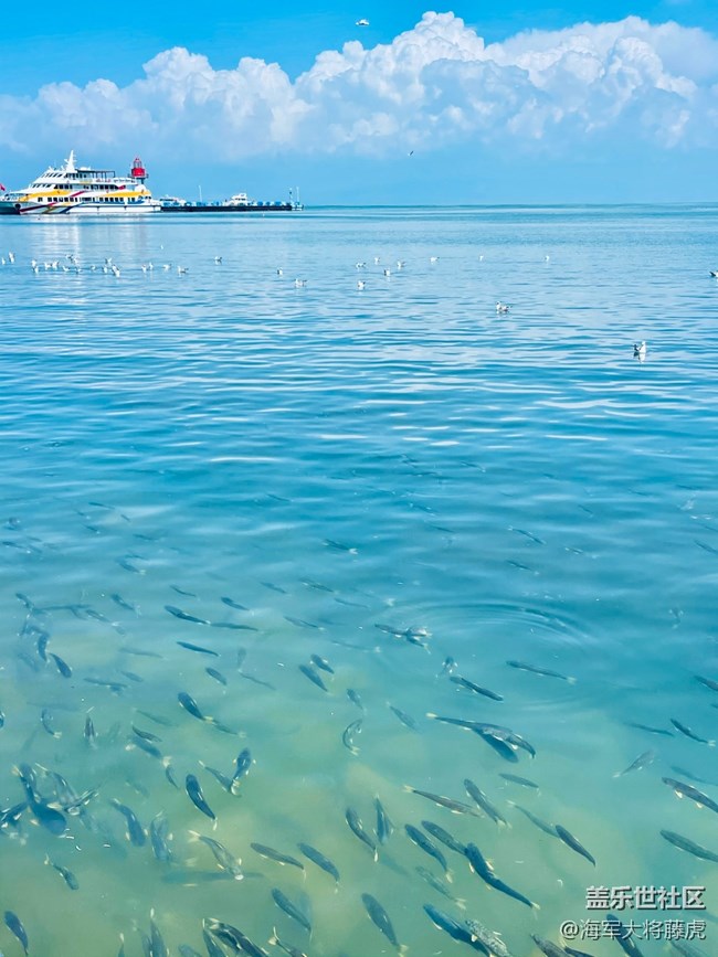 【被遗忘的角落】海的多样画卷 【被遗忘的角落】海的多样画卷