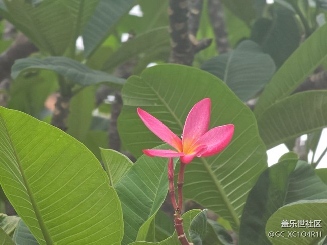 【初秋】天气好