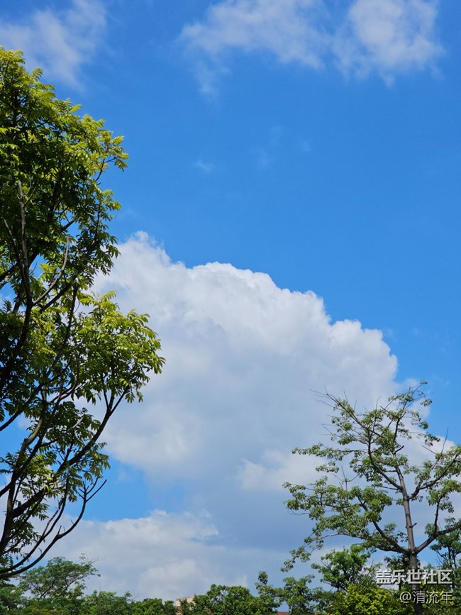 【初秋】秋季随拍