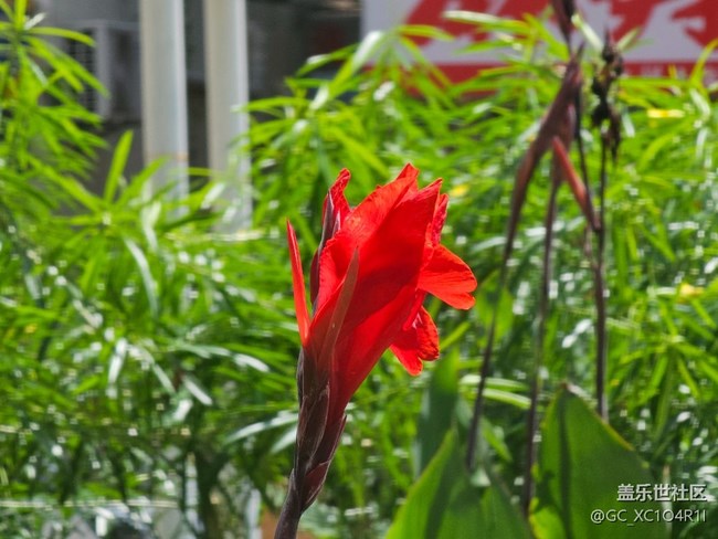 【初秋】日常时光