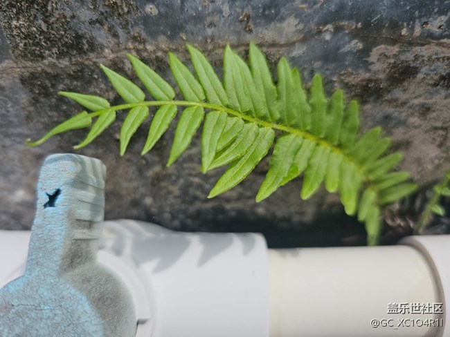 【初秋】初秋角落