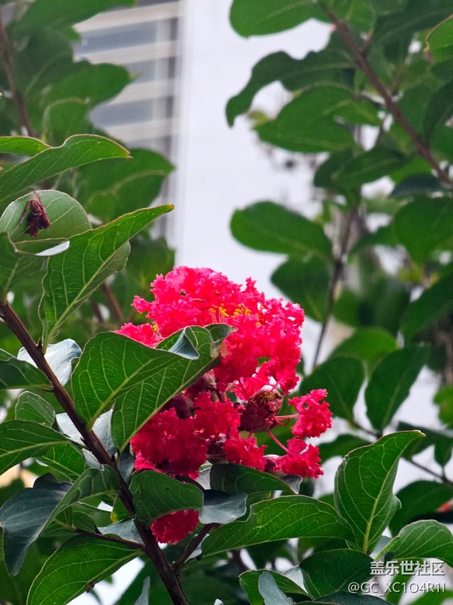 【初秋】日常时光