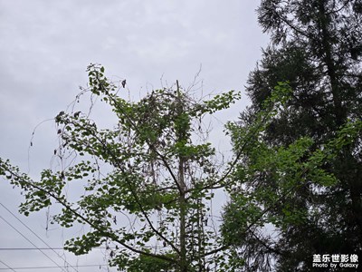 【步履间的风景】+步履不停