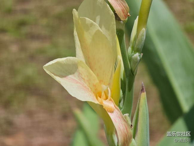 【初秋】秋季随拍