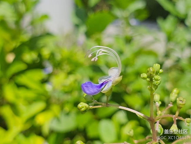 【初秋】日常时光