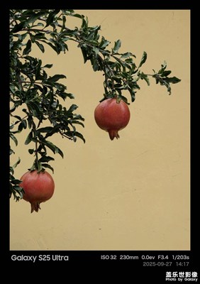 oneui8.0黑色水印之石榴熟了