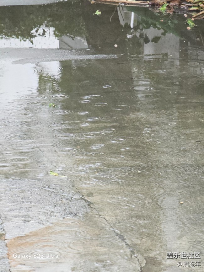 【深湾映秋】初秋日常