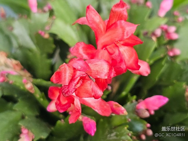 【初秋】初秋角落