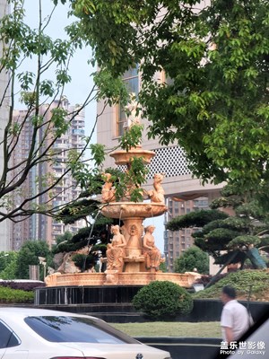 每日一拍