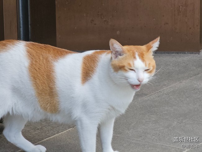 【初秋】微风不燥